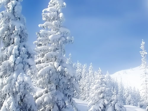 settimana bianca capodanno a Cortina